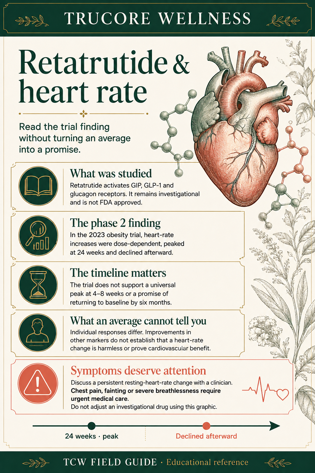 Retatrutide & heart rate. TruCore Wellness illustrated reference; complete text follows on its guide page.