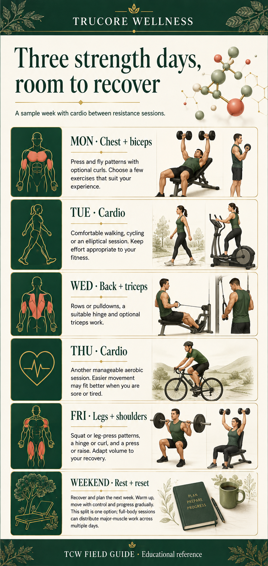 Three strength days, room to recover. TruCore Wellness illustrated reference; complete text follows on its guide page.